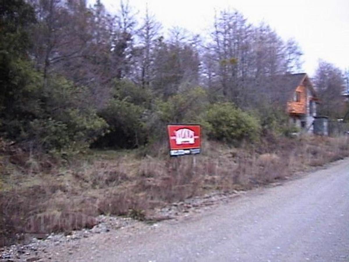  Land in Neuquen, Argentina No. 42984