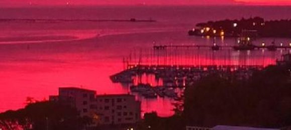 4-Zimmer Wohnung in La Spezia, Italy, Nr. 26762 14