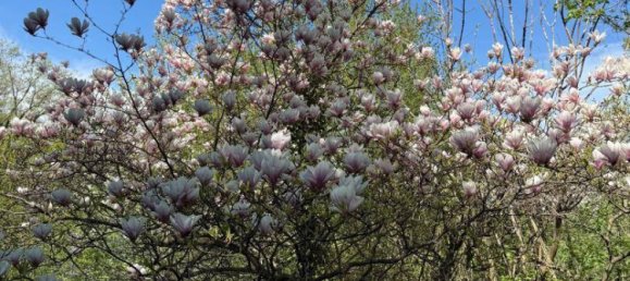 Land in Hernals, Austria No. 127637 2