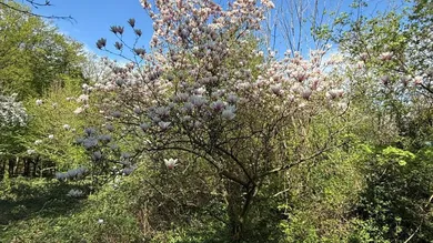  Land in Hernals, Austria No. 127637