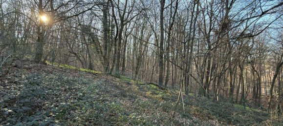 Land in Hernals, Austria No. 127637 11