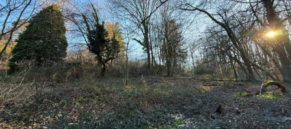 Land in Hernals, Austria No. 127637 12