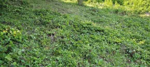  قطعة أرض في Techelsberg am Worther See, Austria رقم 137996 12