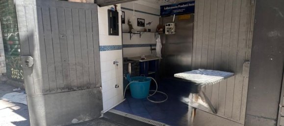 Gewerbliche Immobilie in Palermo, Italy 13m², Nr. 285134 2