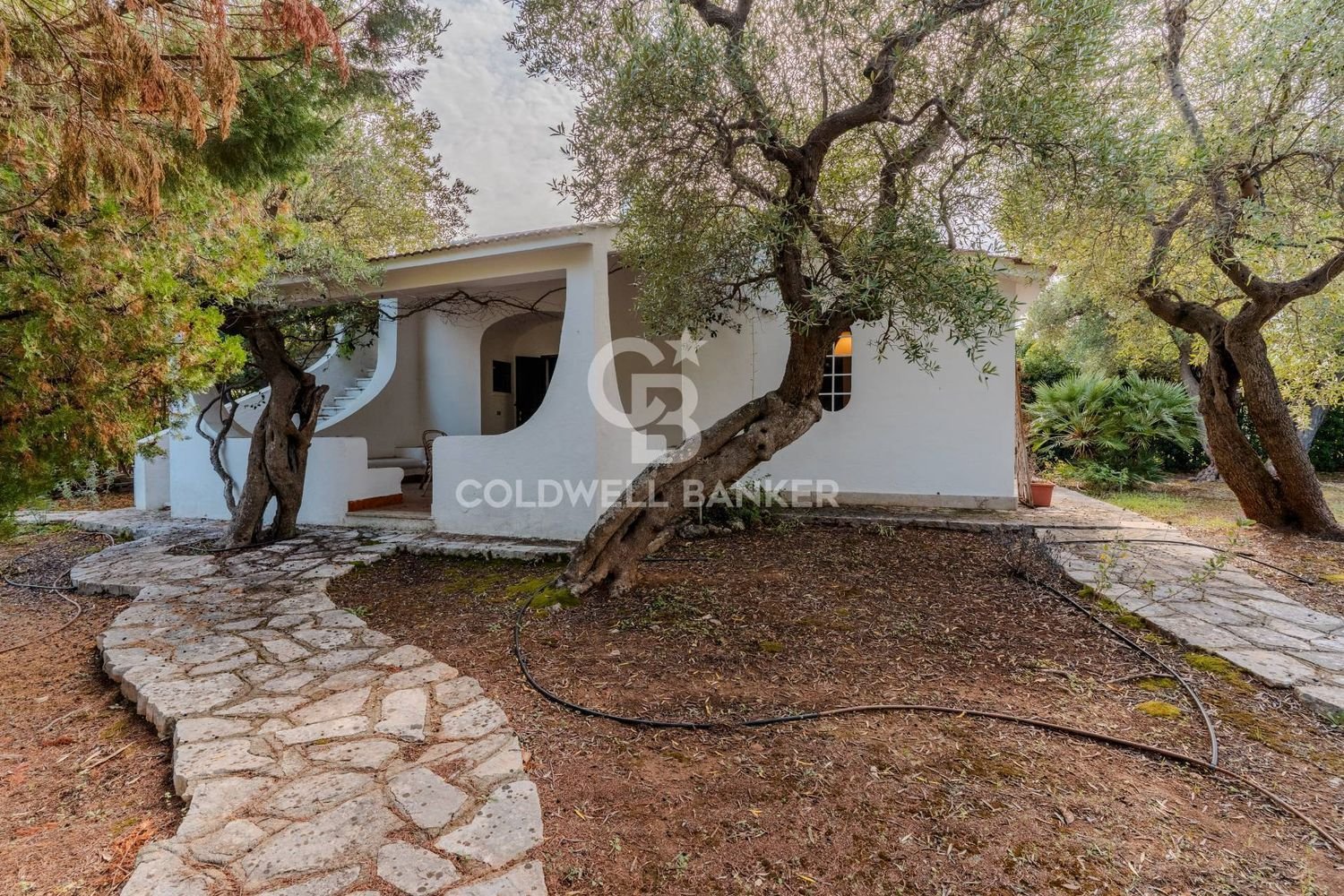 Villa de 3 divisões em Ostuni, Italy N.º 63593