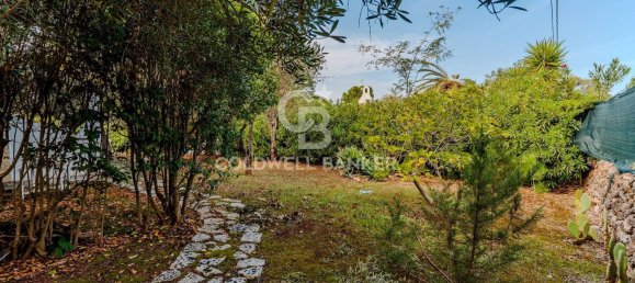 Villa de 3 divisões em Ostuni, Italy N.º 63593 16