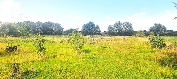 5 bedrooms Farm in Oberhavel, Germany No. 305469 15