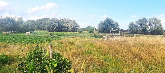 5 bedrooms Farm in Oberhavel, Germany No. 305469 14