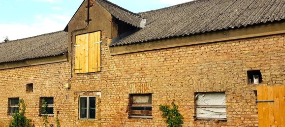 5 bedrooms Farm in Oberhavel, Germany No. 305469 11