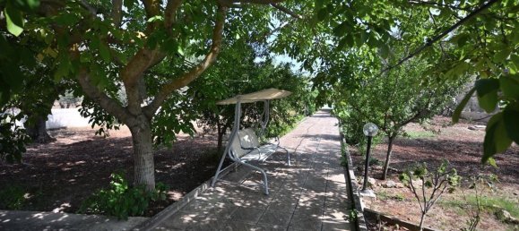 7 Schlafzimmer Villa in Carovigno, Italy, Nr. 334787 36