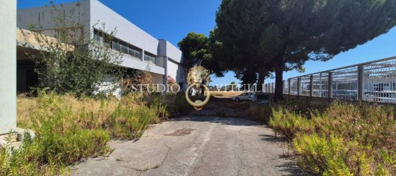 2000m² Warehouse in Bari, Italy No. 363327 5