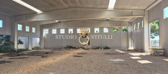 2000m² Warehouse in Bari, Italy No. 363327 6