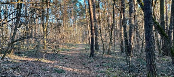 Terreno en Potsdam-Mittelmark, Germany No. 74151 4