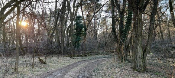 Terreno en Potsdam-Mittelmark, Germany No. 74151 3