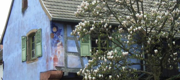 1 غرف نوم منزل في Kaiserslautern, Germany رقم 120062 4