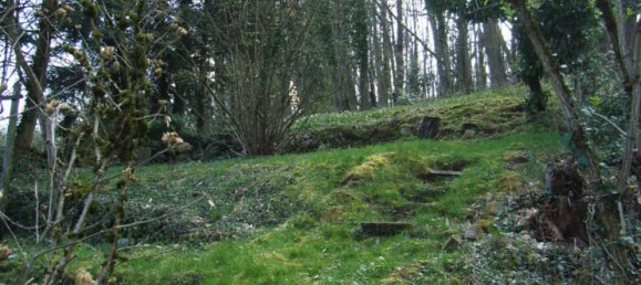 1 غرف نوم منزل في Kaiserslautern, Germany رقم 120062 9