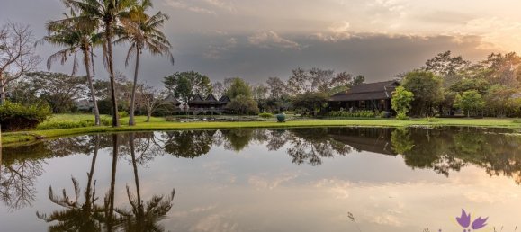 3 bedrooms Commercial property in Chiang Mai, Thailand No. 11374 5