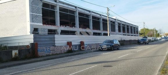 7580m² Warehouse in Esgueira, Portugal No. 66206 3