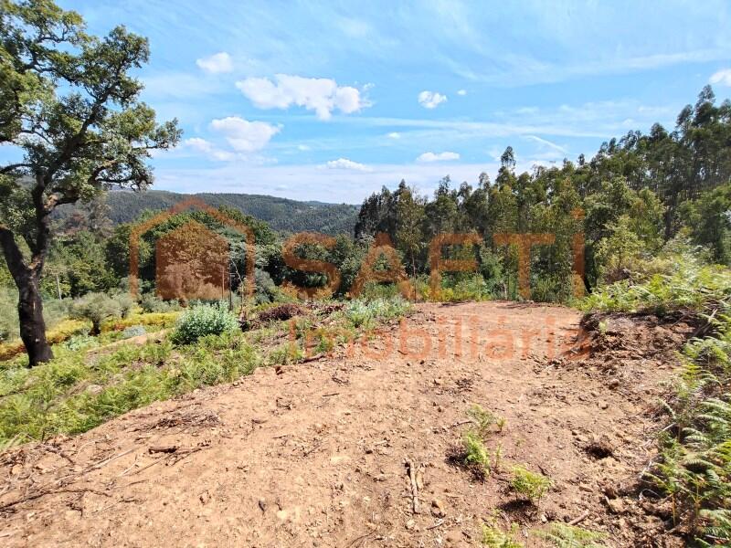 3110m² Land in Alvaiazere, Portugal No. 336624