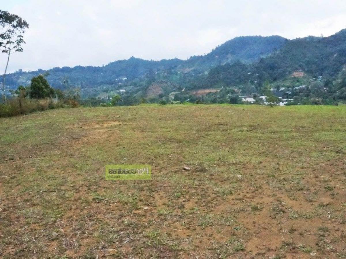  قطعة أرض في Antioquia, Colombia رقم 265