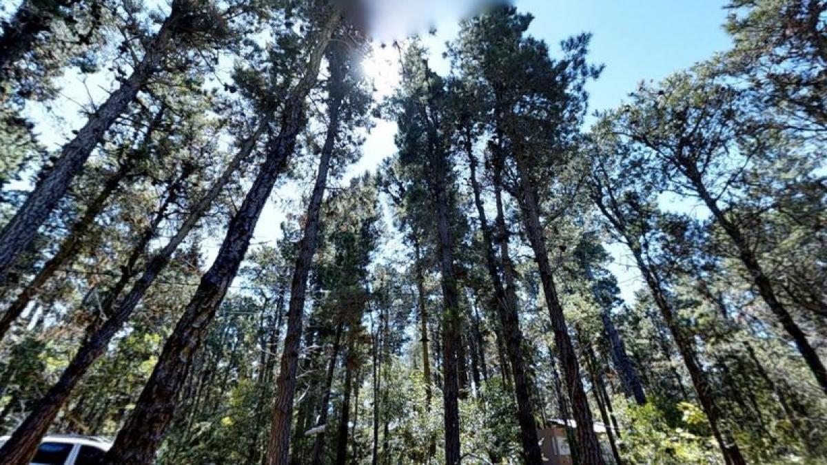 2 bedrooms House in Mar del Plata, Argentina No. 98524