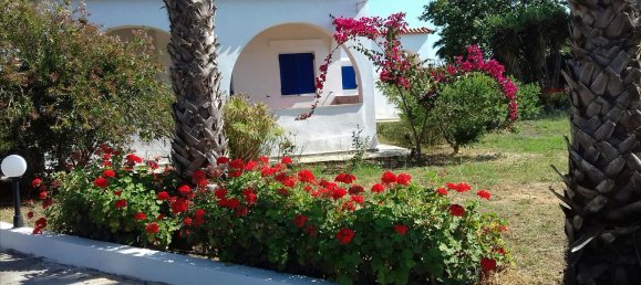 Propiedad en Elis, Greece 332 m² No. 6556 4