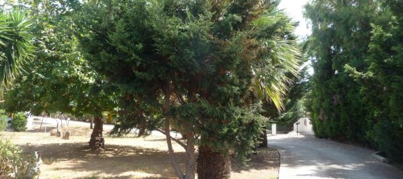 Propiedad en Elis, Greece 332 m² No. 6556 8