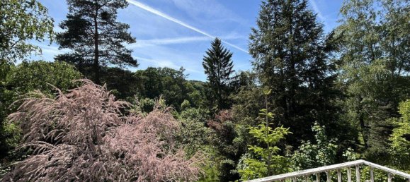 6 rooms House in Eichgraben, Austria No. 231716 24