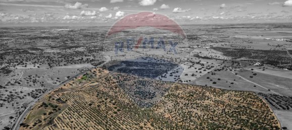 9 bedrooms Castles in Rosario, Portugal No. 50528 8