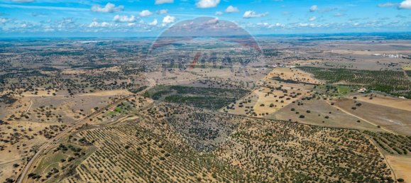 9 bedrooms Castles in Rosario, Portugal No. 50528 7