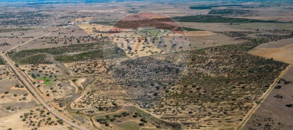 9 bedrooms Castles in Rosario, Portugal No. 50528 17