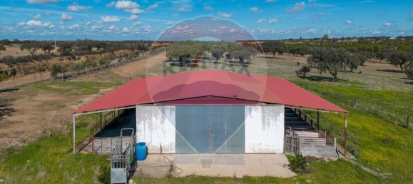 9 bedrooms Castles in Rosario, Portugal No. 50528 3