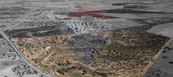 9 bedrooms Castles in Rosario, Portugal No. 50528 6