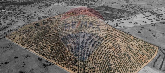 9 bedrooms Castles in Rosario, Portugal No. 50528 10