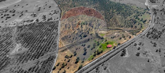 9 bedrooms Castles in Rosario, Portugal No. 50528 12