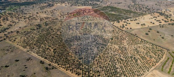 9 bedrooms Castles in Rosario, Portugal No. 50528 9