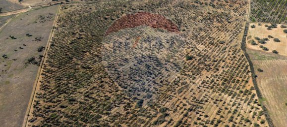 9 bedrooms Castles in Rosario, Portugal No. 50528 18