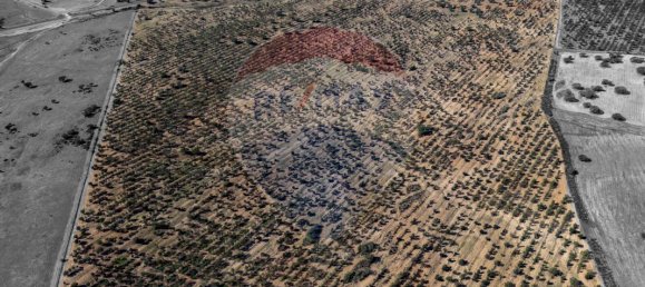 9 bedrooms Castles in Rosario, Portugal No. 50528 15