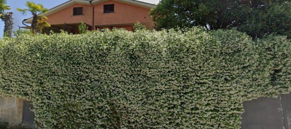 Дом с 4 спальнями в Рим, Италия № 335778 2