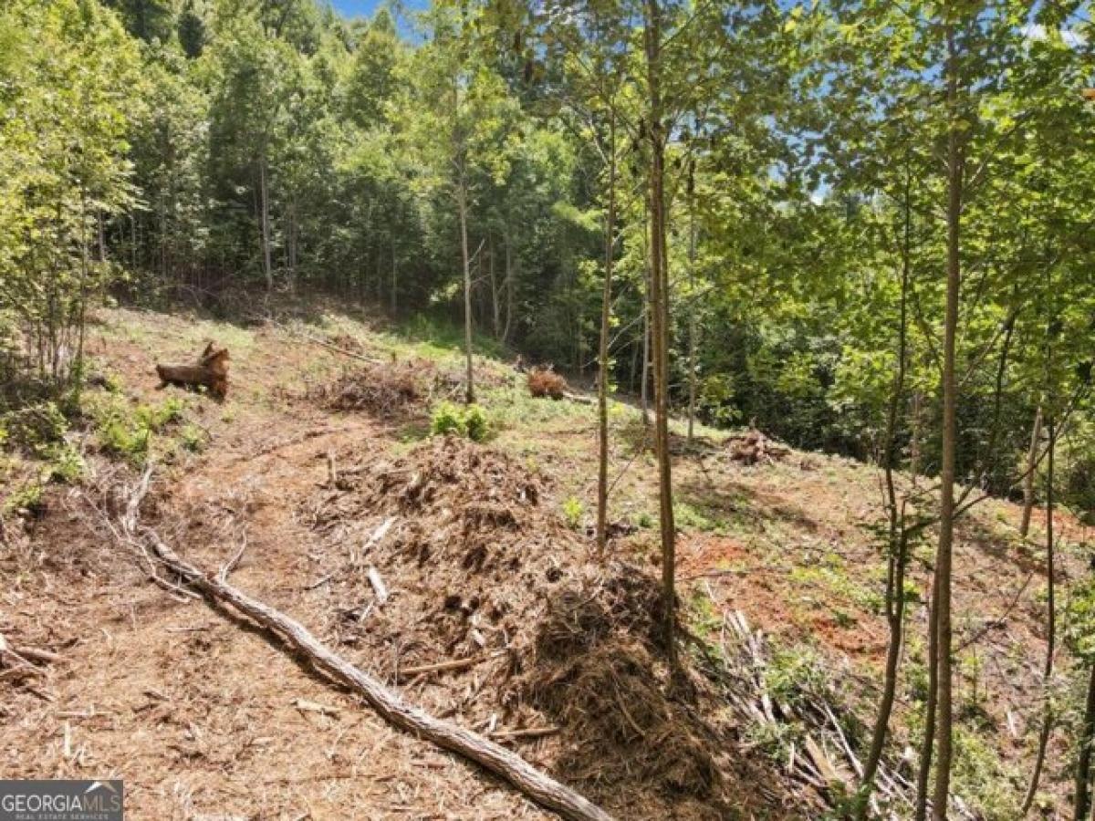  Land in Hiawassee, USA No. 533074