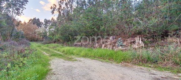  قطعة أرض في Aveiro, Portugal 4040متر مربع رقم 85278 10