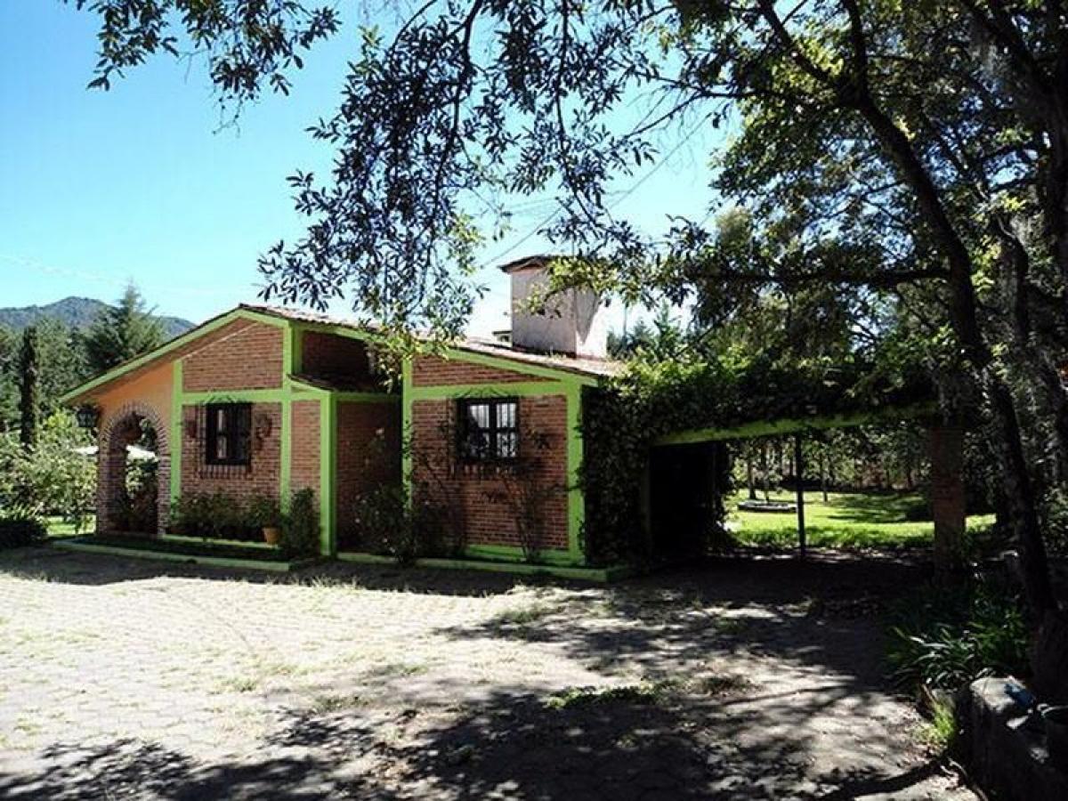  قطعة أرض في Mexico رقم 205617