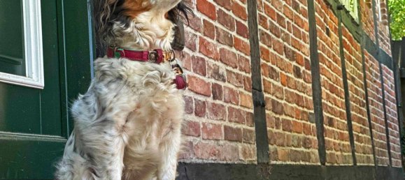 6غرفة مزرعة في Harburg, Germany رقم 262196 2