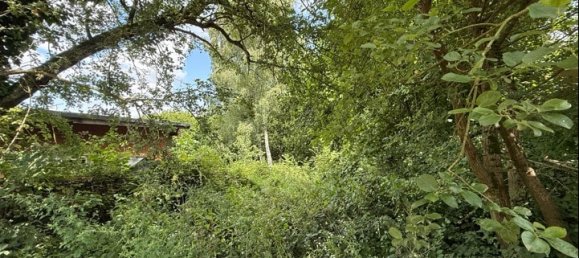 6-salle Café / restaurant à Sankt Wendel, Germany No. 314144 16