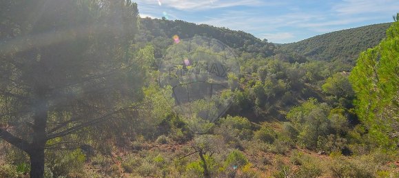 Casa de 2 dormitorios en Loule, Portugal No. 18577 3