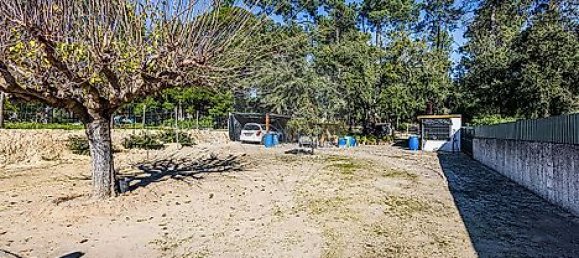 4 غرف نوم منزل في Vale de Santarem, Portugal رقم 21086 32