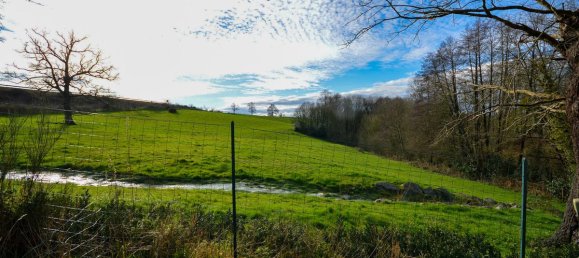 2 Schlafzimmer Haus in Chantonnay, France, Nr. 101116 9