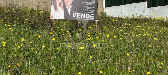 294m² Land in Santarem, Portugal No. 75887 12