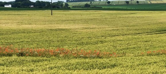 Apartamento T2 em Vorpommern-Rugen, Germany N.º 188127 10