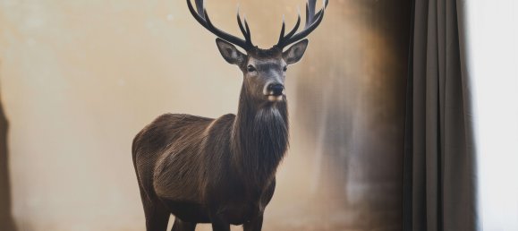 3 غرف نوم شقة في Pforzheim, Germany رقم 277145 19